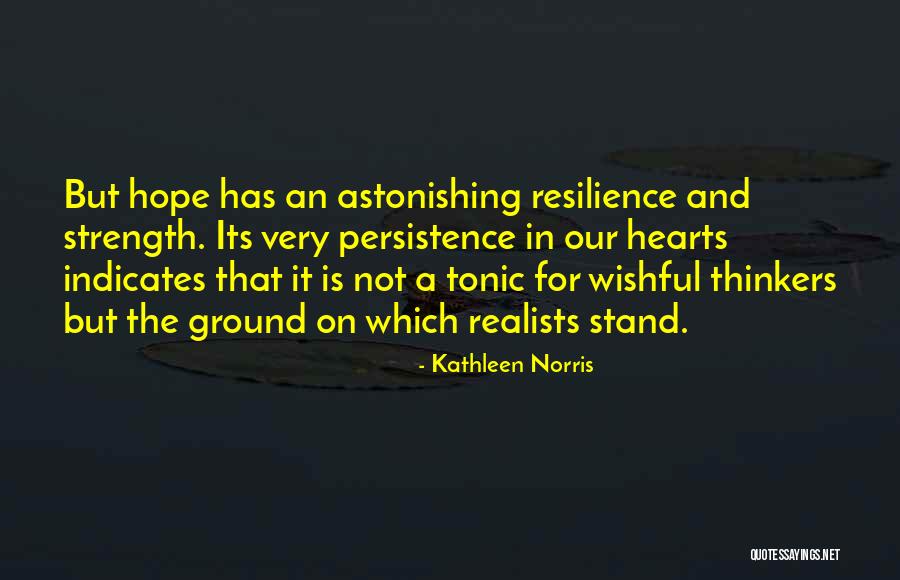 Strength And Persistence Quotes By Kathleen Norris