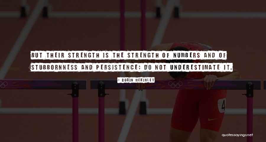 Strength And Persistence Quotes By Robin McKinley