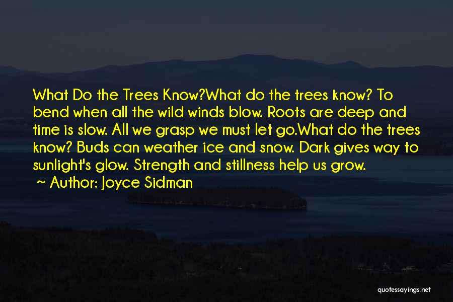 Strength And Trees Quotes By Joyce Sidman