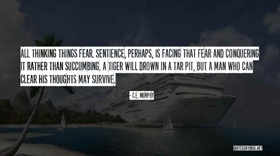 Strength Conquering Quotes By C.E. Murphy Strength Conquering Quotes By C.E. Murphy