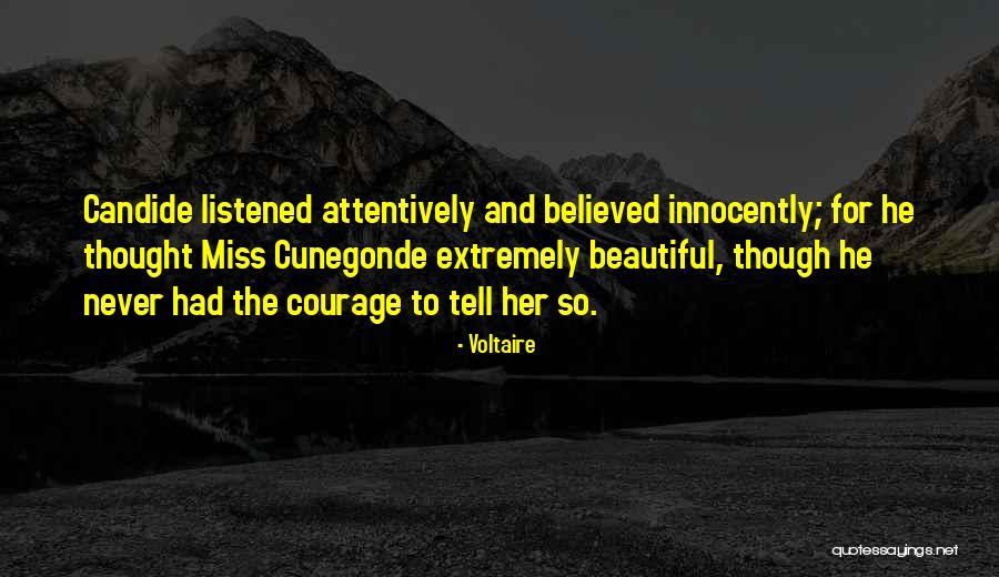 Strength During Terminal Illness Quotes By Voltaire