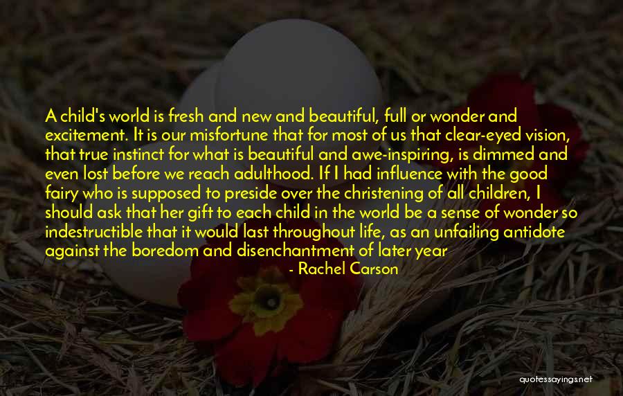 Strength For Children Quotes By Rachel Carson Strength For Children Quotes By Rachel Carson