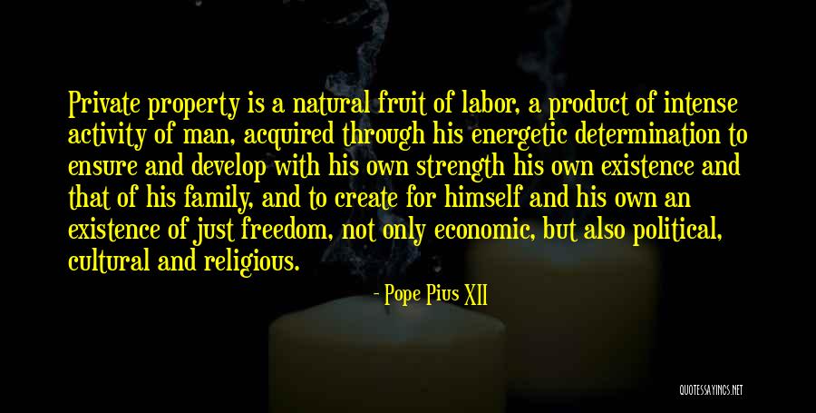 Strength For Family Quotes By Pope Pius XII