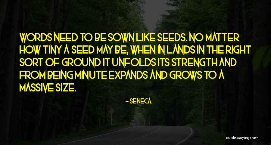 Strength Grows Quotes By Seneca. Strength Grows Quotes By Seneca.