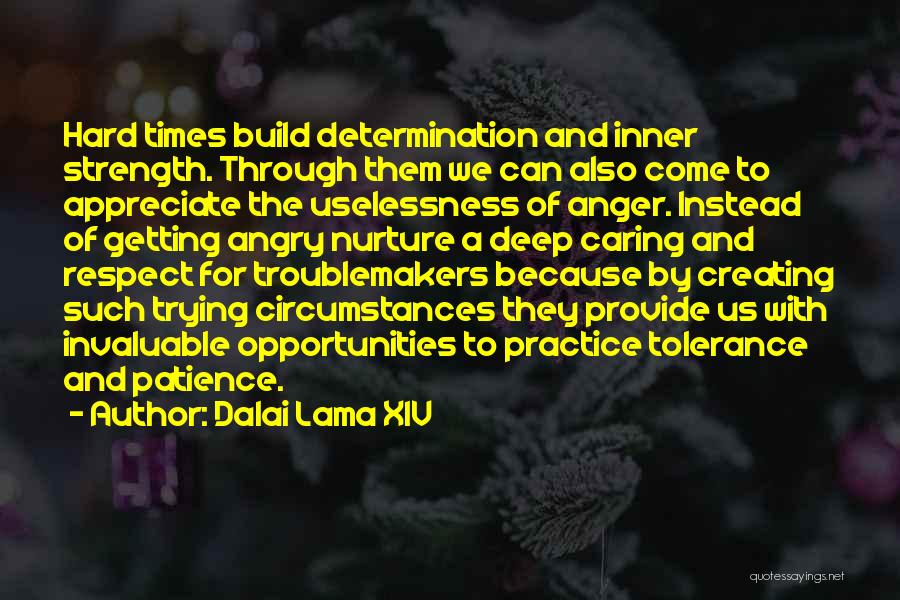 Strength In Hard Times Quotes By Dalai Lama XIV