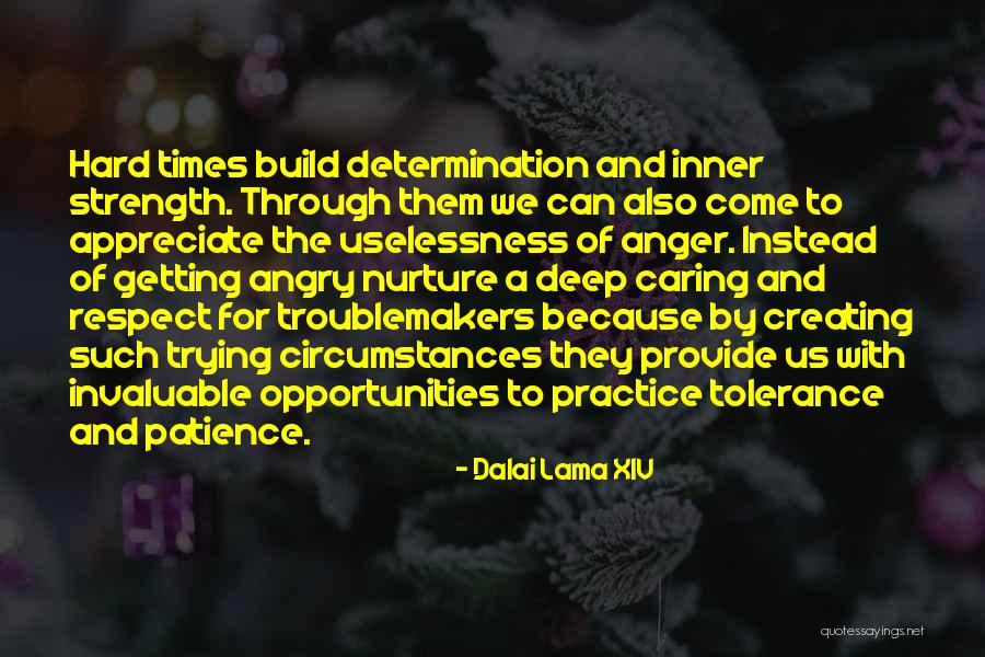 Strength In Hard Times Quotes By Dalai Lama XIV