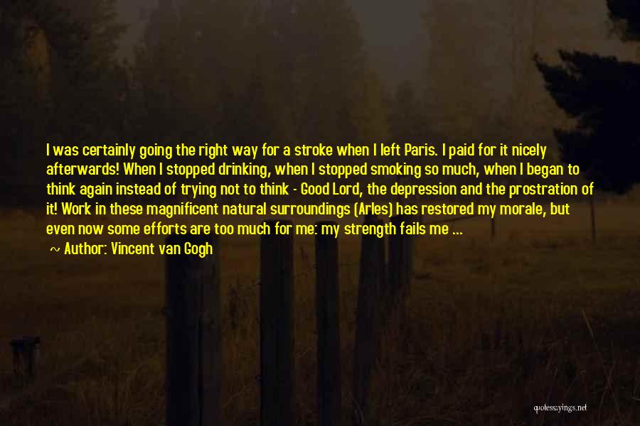 Strength In Me Quotes By Vincent Van Gogh