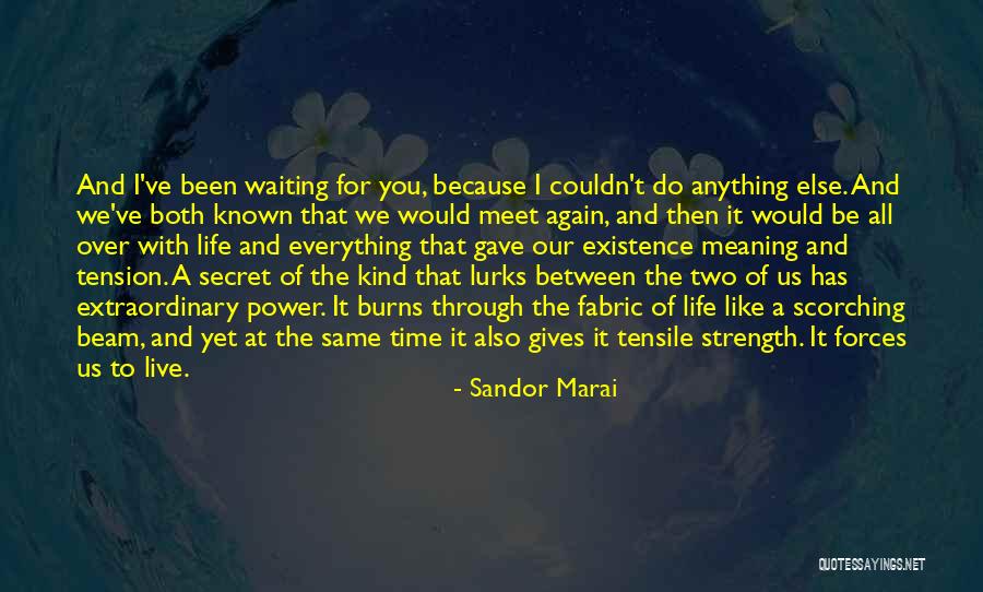 Strength Then Power Quotes By Sandor Marai Strength Then Power Quotes By Sandor Marai