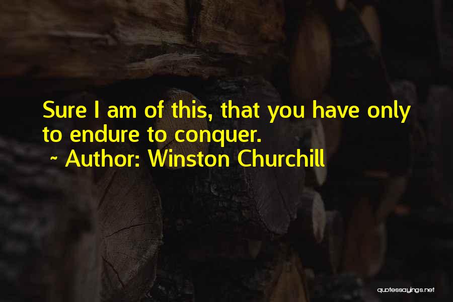 Strength To Endure Quotes By Winston Churchill