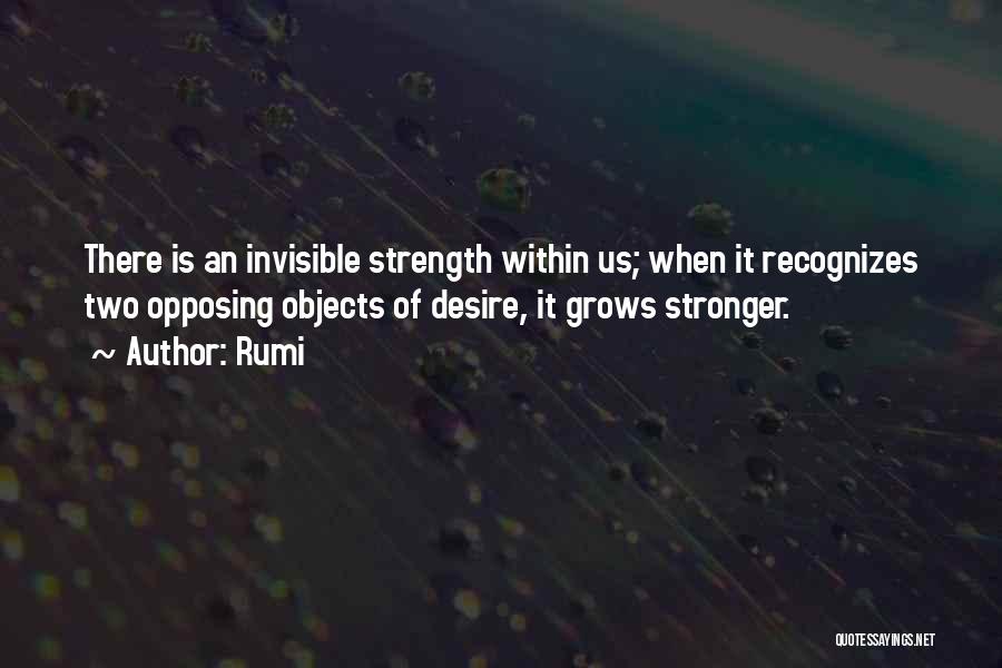Strength Within Us Quotes By Rumi