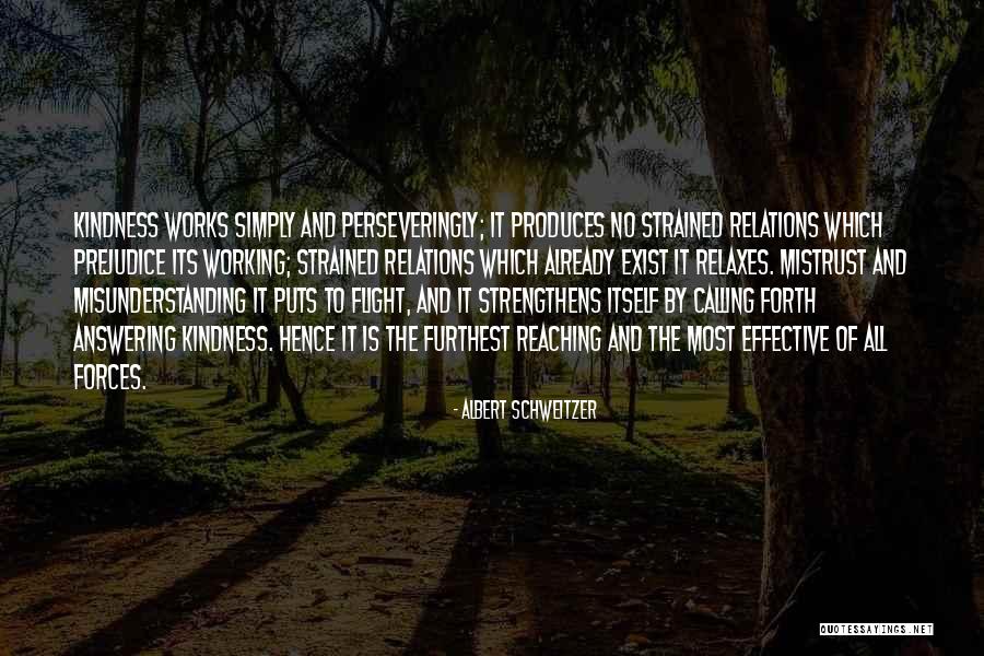 Strengthens Quotes By Albert Schweitzer Strengthens Quotes By Albert Schweitzer