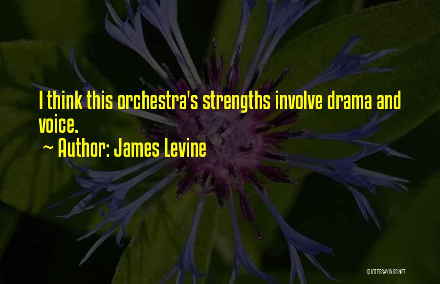 Strengths Quotes By James Levine