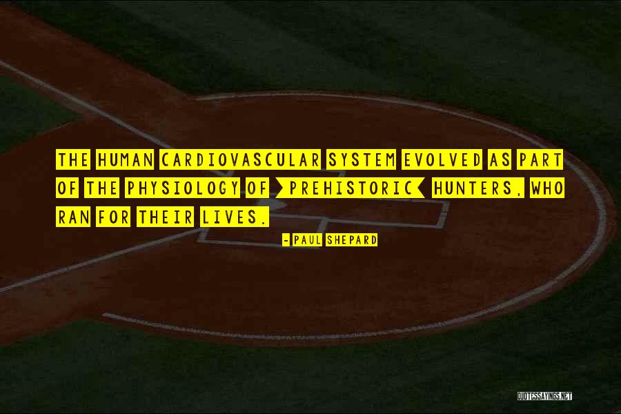 Streptococcus Pyogenes Quotes By Paul Shepard Streptococcus Pyogenes Quotes By Paul Shepard