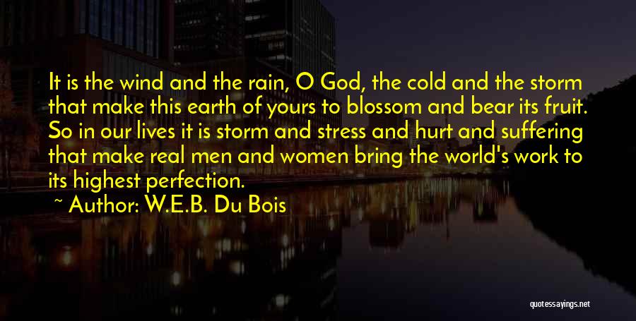 Stress And God Quotes By W.E.B. Du Bois