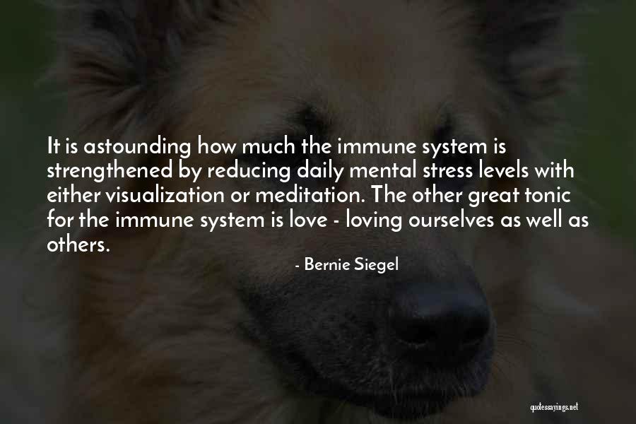 Stress And Immune System Quotes By Bernie Siegel Stress And Immune System Quotes By Bernie Siegel