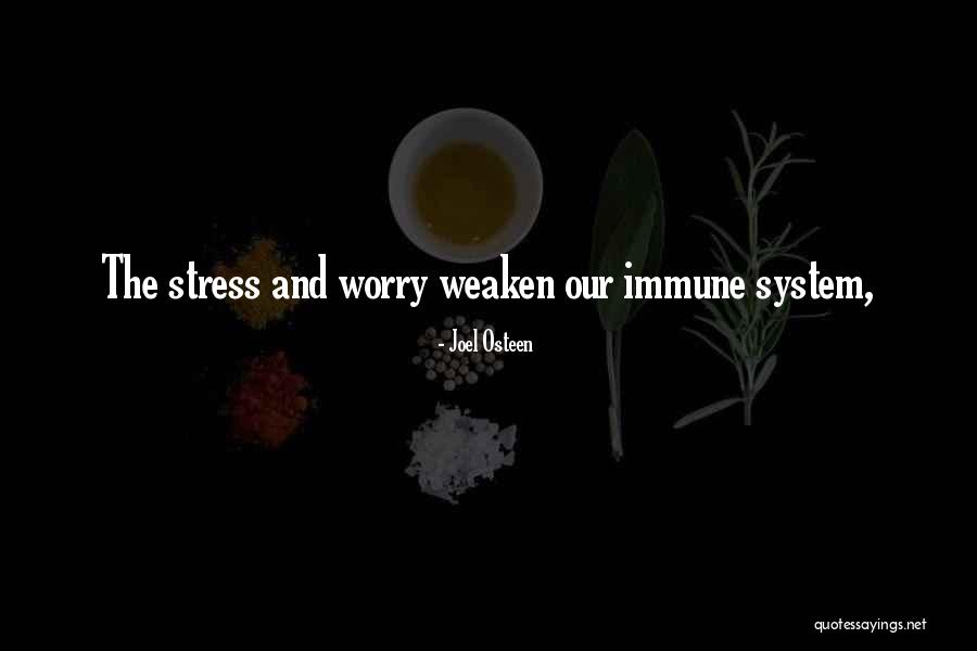 Stress And Immune System Quotes By Joel Osteen Stress And Immune System Quotes By Joel Osteen