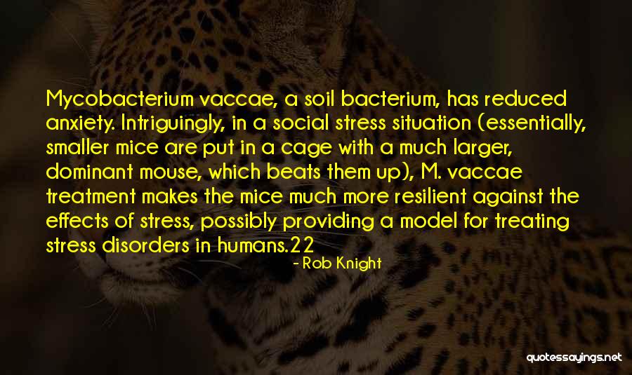 Stress And Model Quotes By Rob Knight Stress And Model Quotes By Rob Knight
