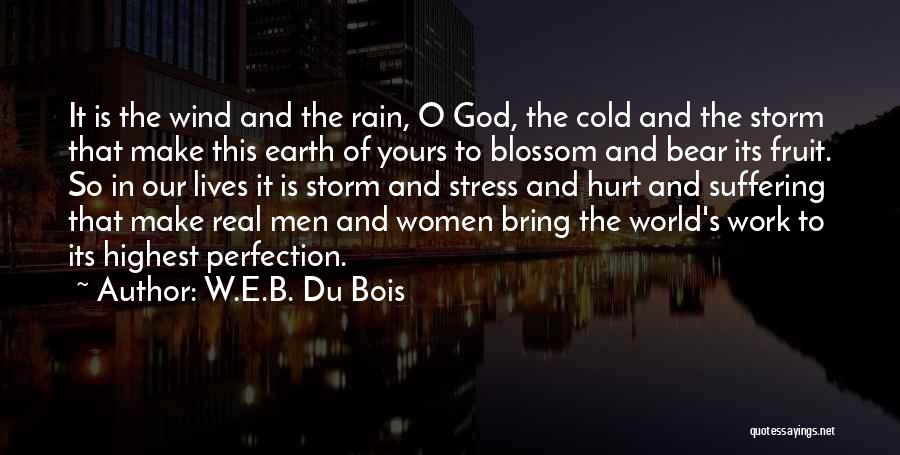 Stress And Work Quotes By W.E.B. Du Bois