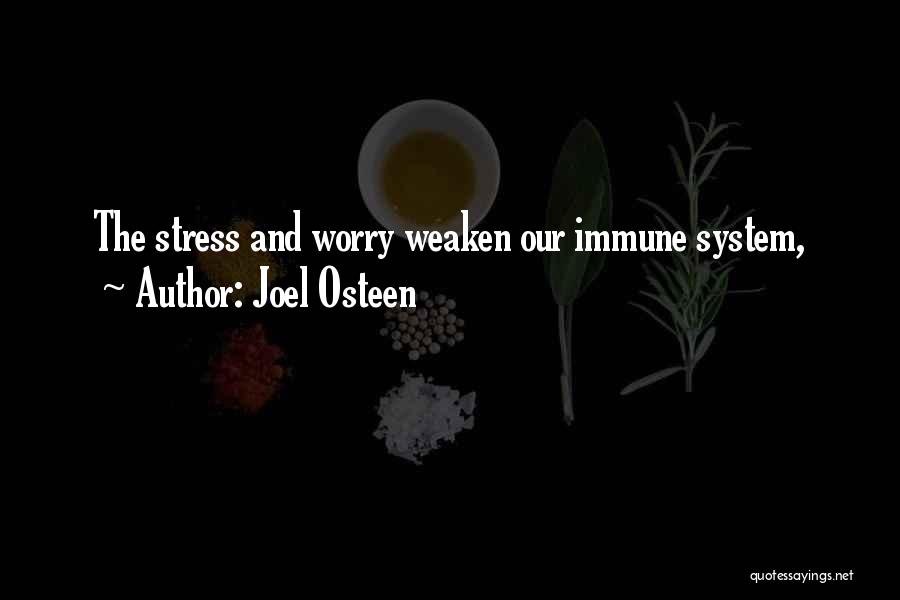 Stress And Worry Quotes By Joel Osteen