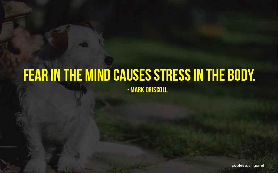 Stress Causes Quotes By Mark Driscoll