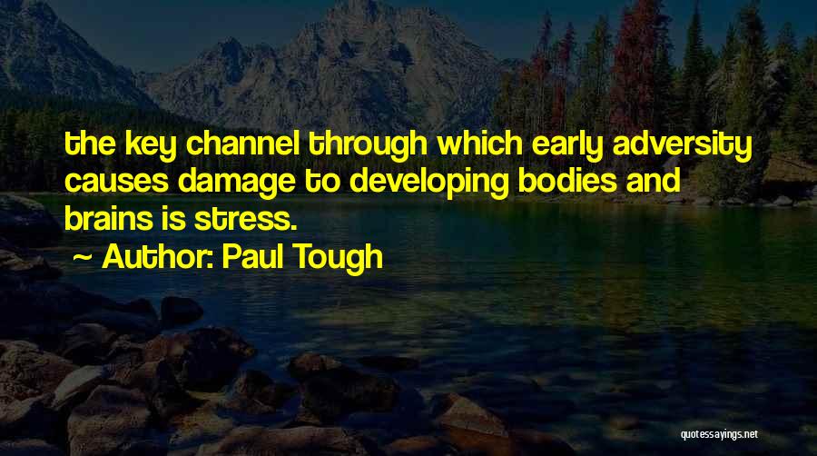 Stress Causes Quotes By Paul Tough