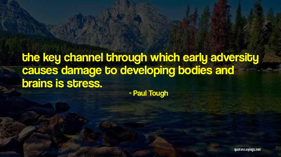 Stress Causes Quotes By Paul Tough