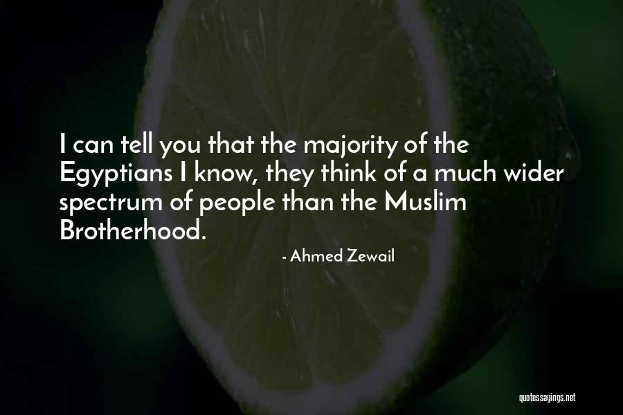 Stress Diaries Quotes By Ahmed Zewail Stress Diaries Quotes By Ahmed Zewail