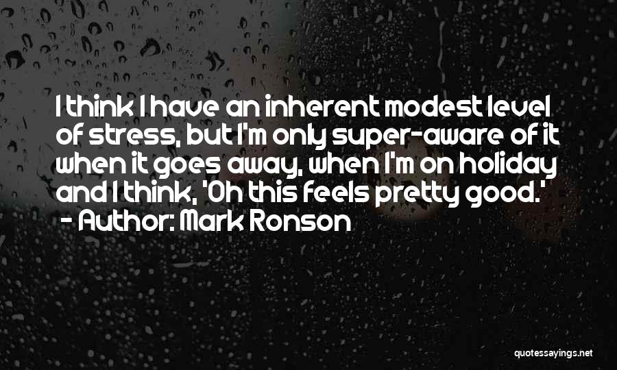 Stress Go Away Quotes By Mark Ronson