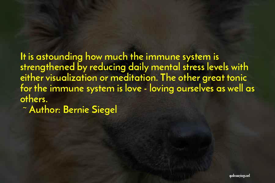 Stress Levels Quotes By Bernie Siegel