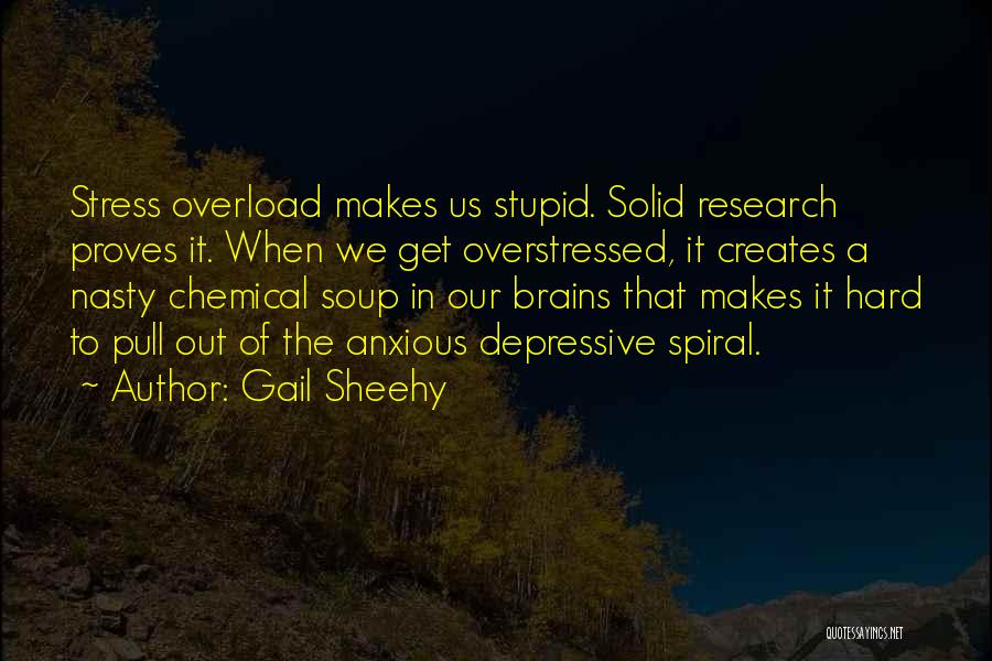 Stress Overload Quotes By Gail Sheehy