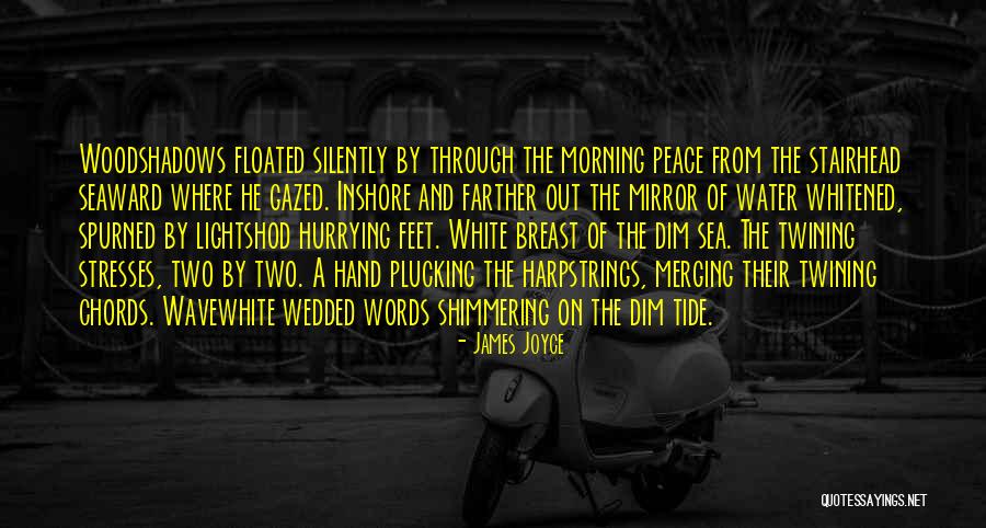 Stresses On Words Quotes By James Joyce Stresses On Words Quotes By James Joyce