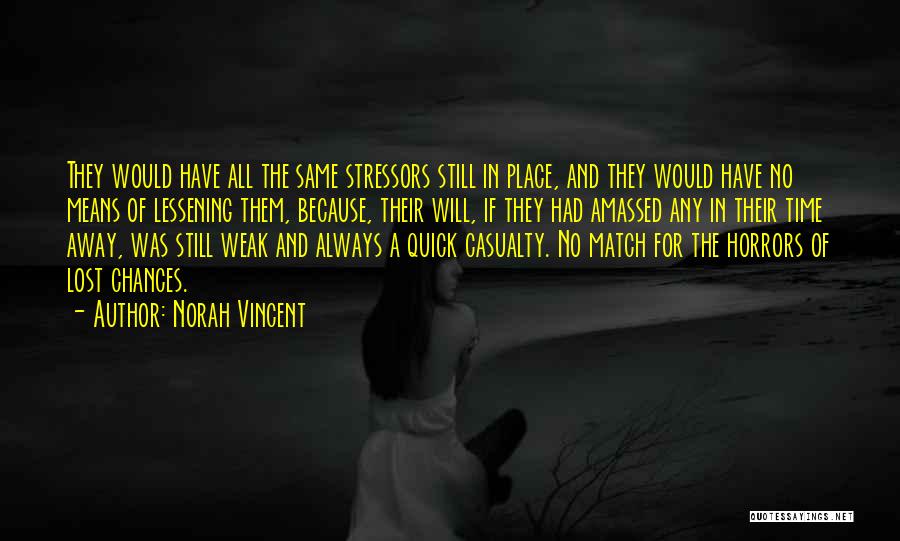 Stressors Quotes By Norah Vincent