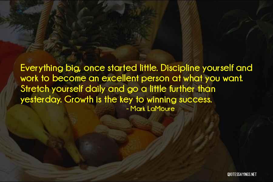 Stretch Mark Quotes By Mark LaMoure