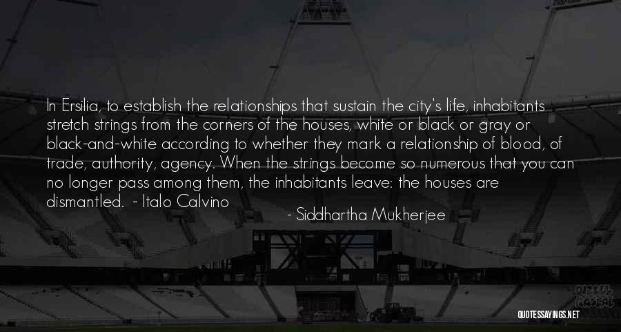 Stretch Mark Quotes By Siddhartha Mukherjee