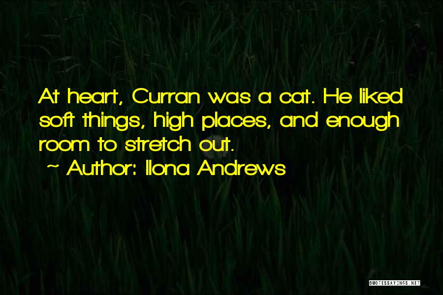 Stretch Quotes By Ilona Andrews