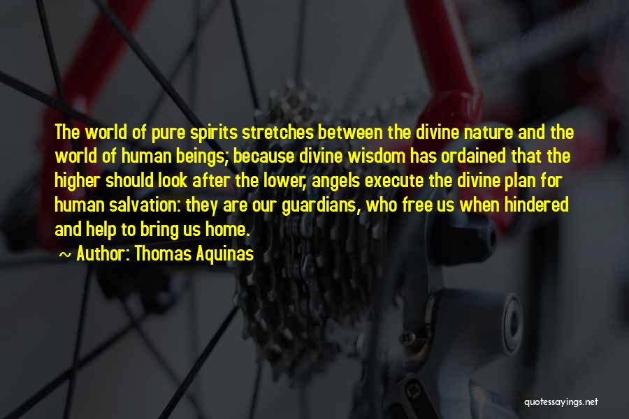 Stretches Quotes By Thomas Aquinas