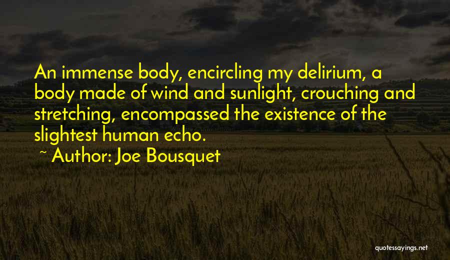 Stretching Your Body Quotes By Joe Bousquet