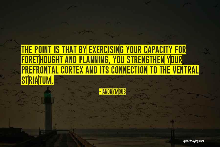 Striatum Quotes By Anonymous Striatum Quotes By Anonymous