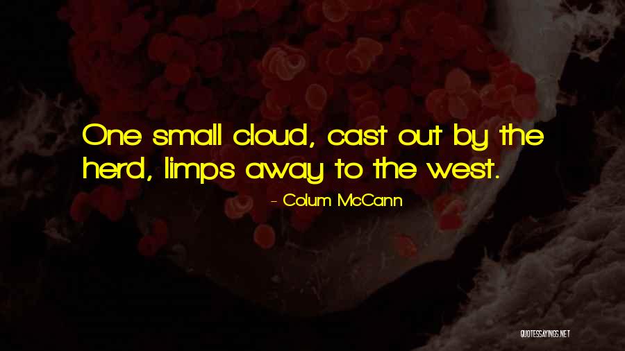 Stride Rite Shoe Store Quotes By Colum McCann