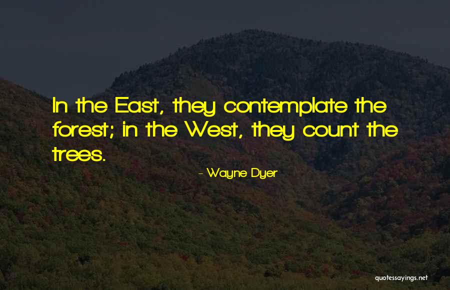 Strigatul Quotes By Wayne Dyer