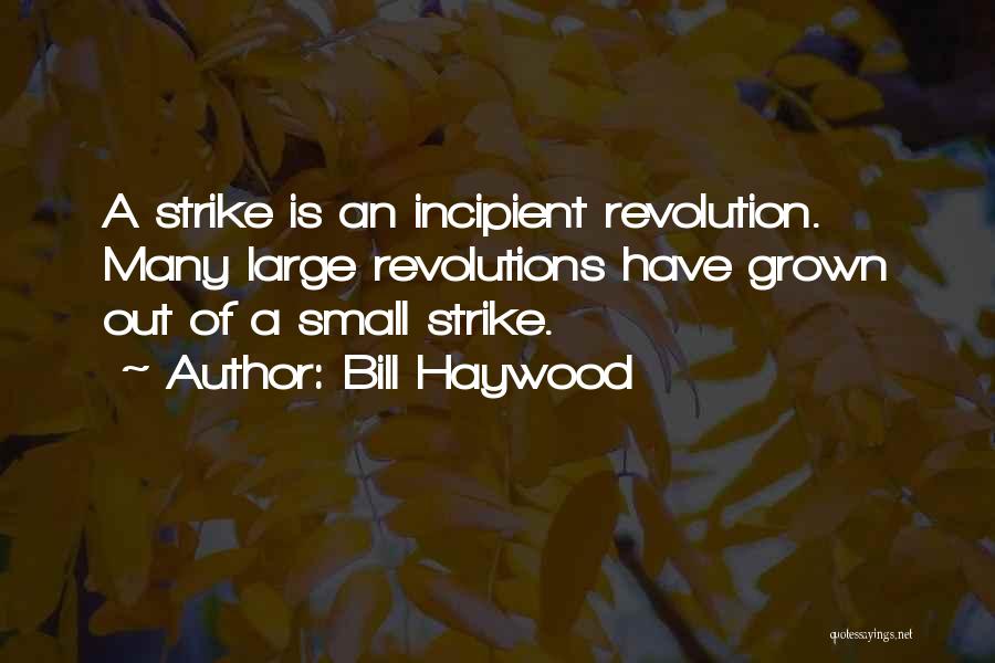 Strike Out Quotes By Bill Haywood