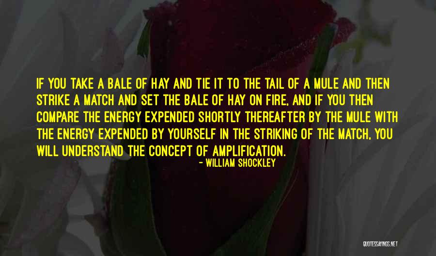 Strike The Match Quotes By William Shockley Strike The Match Quotes By William Shockley