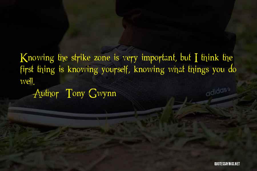 Strike Zone Quotes By Tony Gwynn