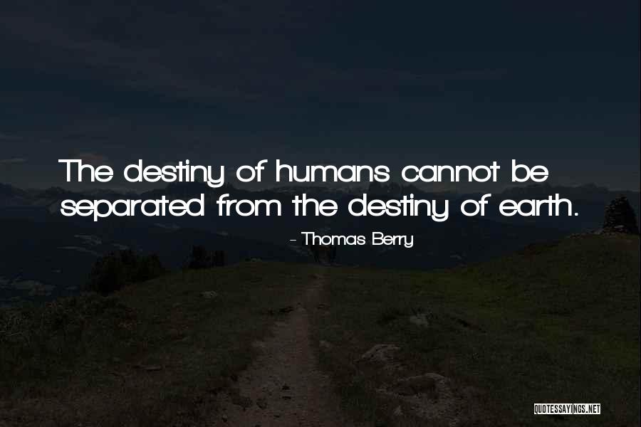 Strikedramon Quotes By Thomas Berry Strikedramon Quotes By Thomas Berry