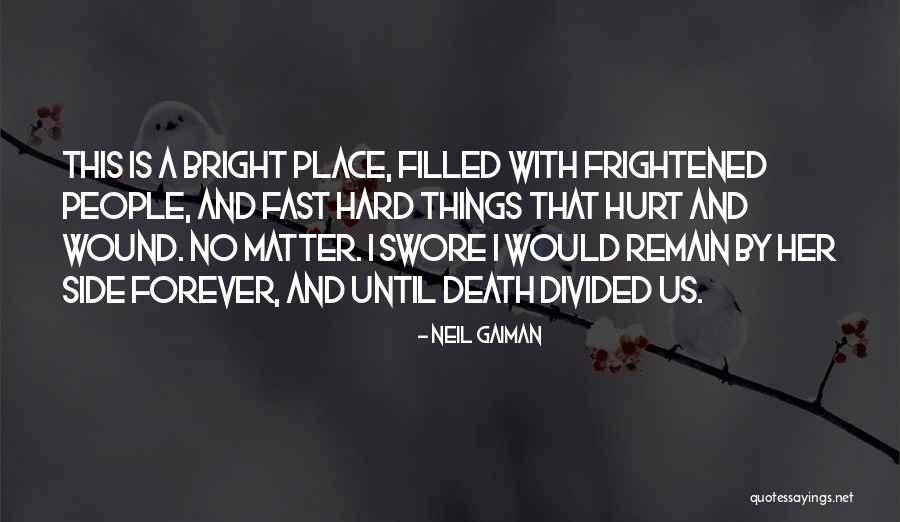 Strikeforce Kitty Quotes By Neil Gaiman Strikeforce Kitty Quotes By Neil Gaiman