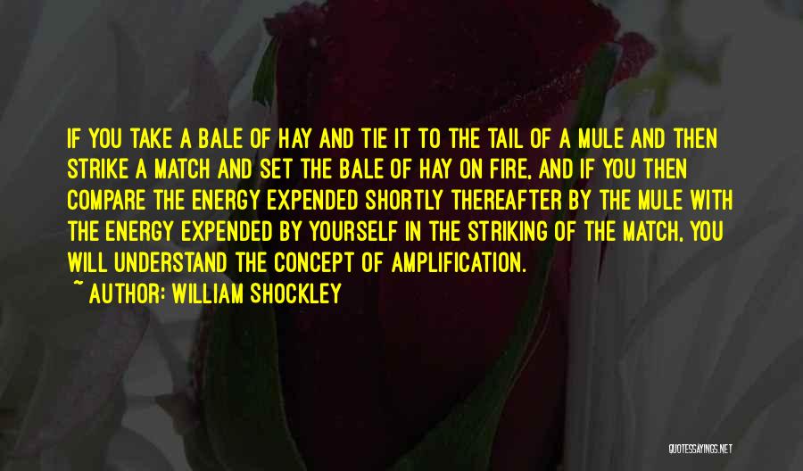 Striking A Match Quotes By William Shockley