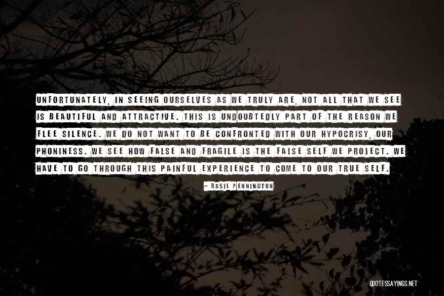 Striking Institute Quotes By Basil Pennington