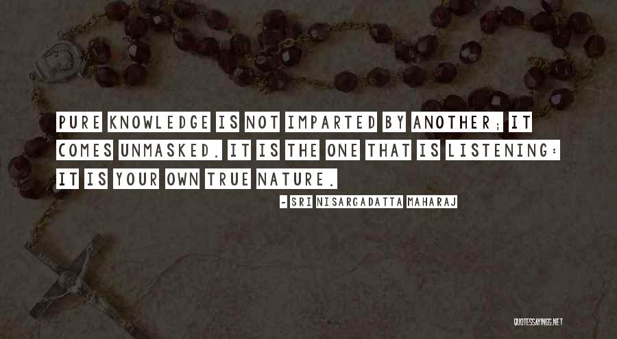 Striking Institute Quotes By Sri Nisargadatta Maharaj