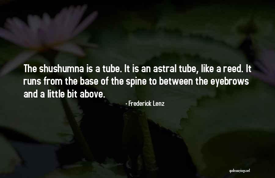 Strikingly Handsome Quotes By Frederick Lenz Strikingly Handsome Quotes By Frederick Lenz