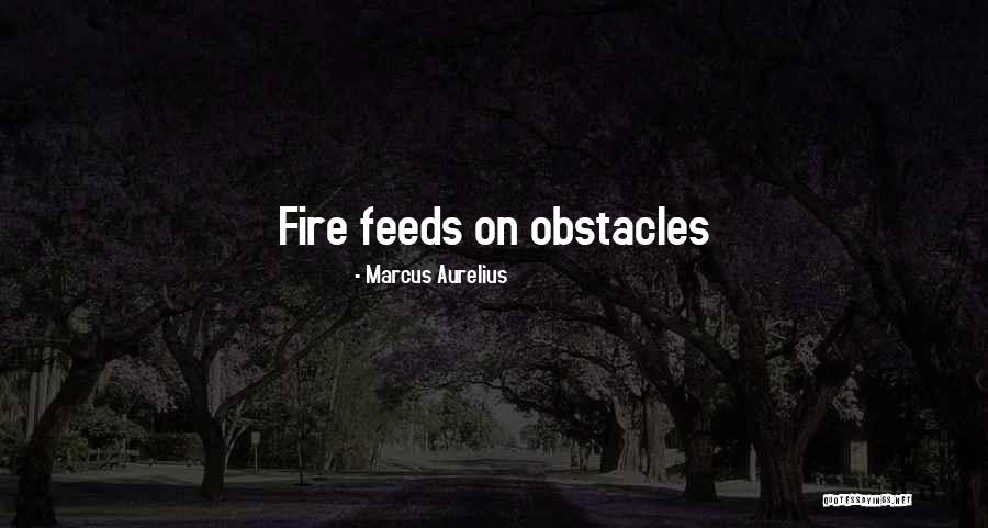 Strilecky Free Quotes By Marcus Aurelius Strilecky Free Quotes By Marcus Aurelius